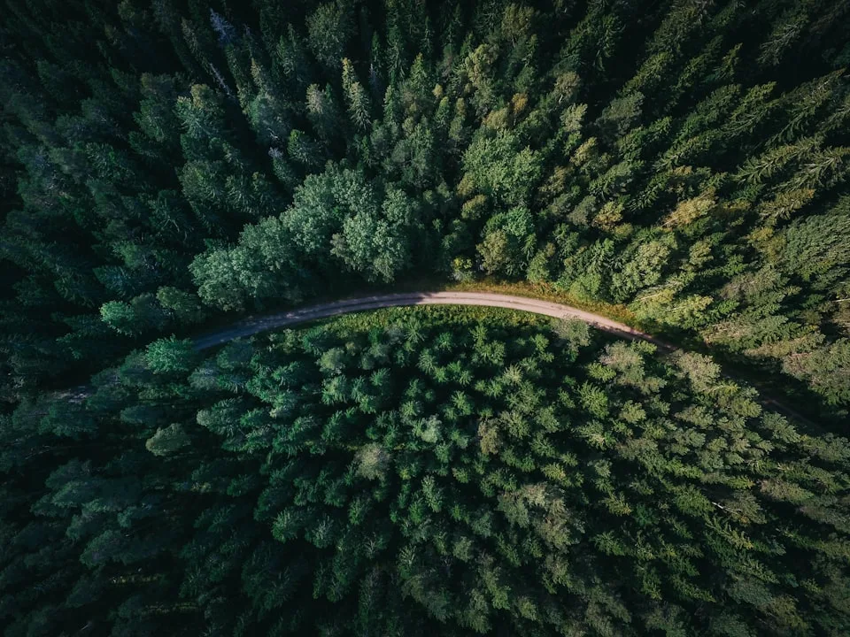 Harvey Manning Park Expansion — carbon credits, old-growth forest, Issaquah, Washington