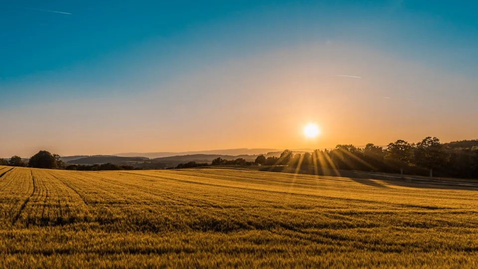 Pimlico Farm — soil carbon credits, regenerative agriculture, Oxfordshire, United Kingdom